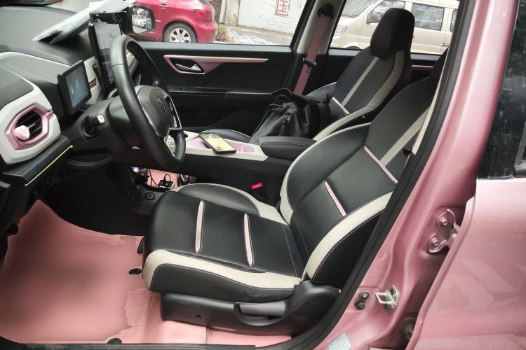 Used SOL E10X 2022 Flower Fairy Style Baby's Breath