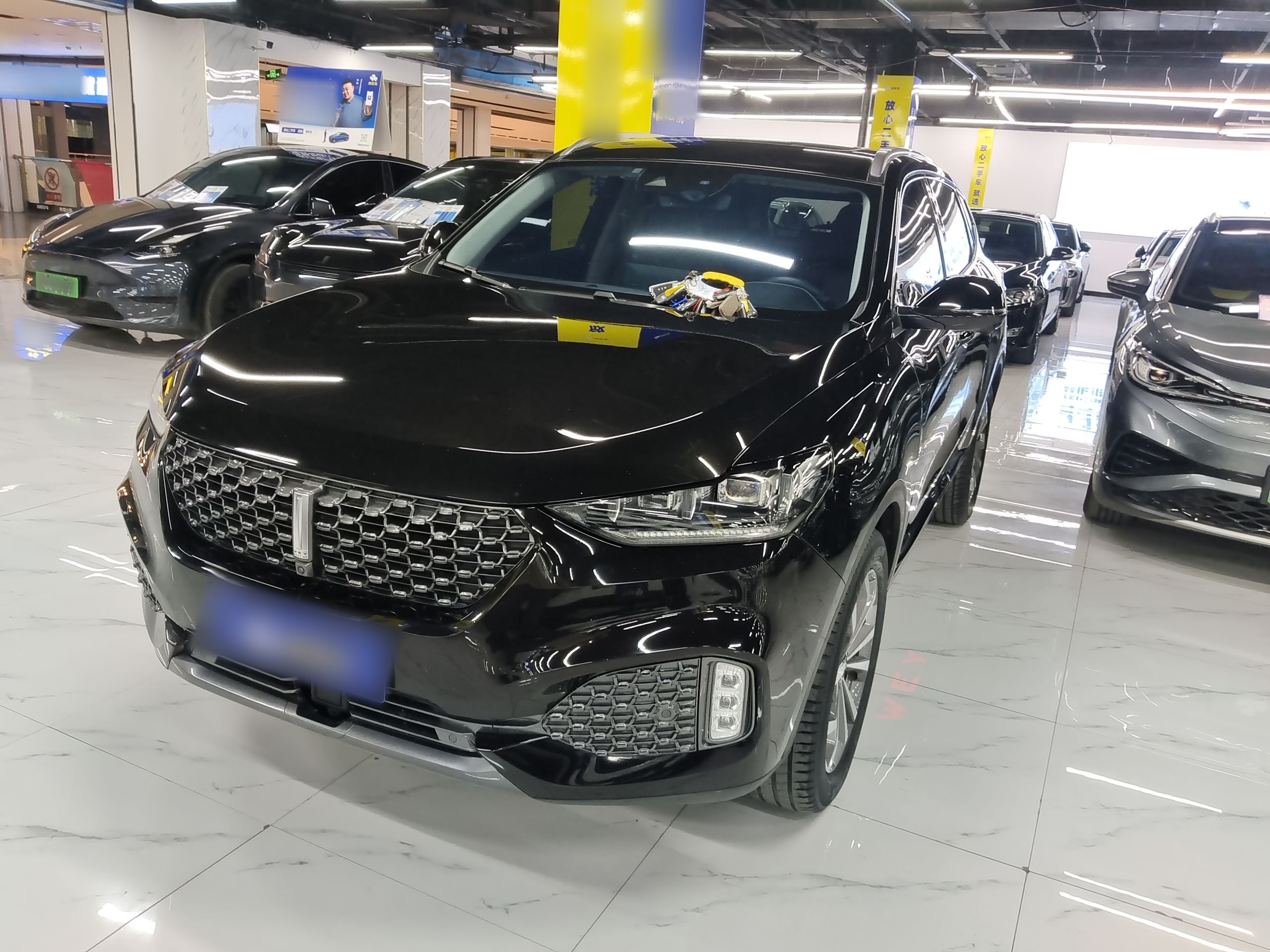 تحت مقدمة السيارة