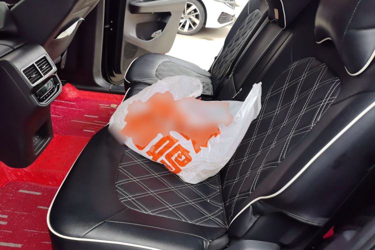 Used Volkswagen Teramont 2023 380TSI Four-Wheel Drive Prestige Luxury Edition Left Rear Seat