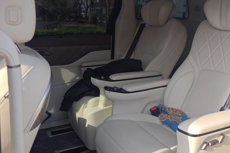 Used Wey Gaoshan 2025 Four-Wheel Drive Alpine 8 Left Rear Seat