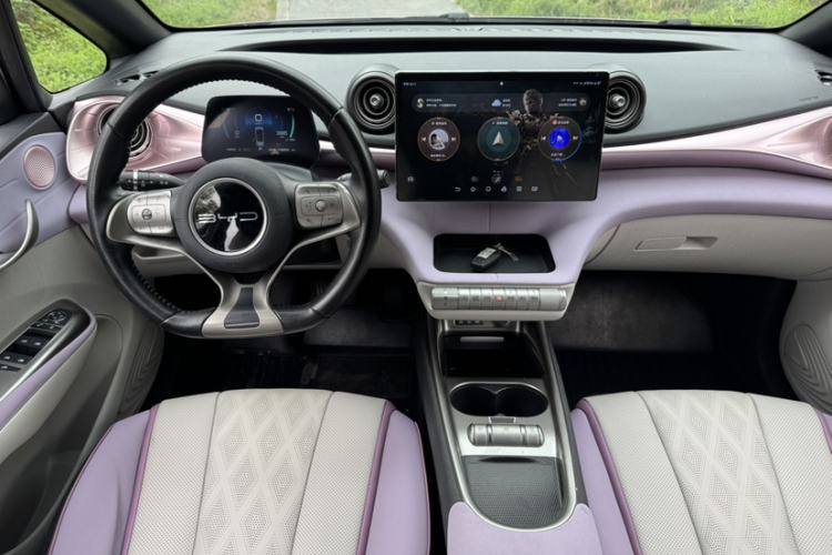 Used BYD Dolphin 2023 420 km Free Version
