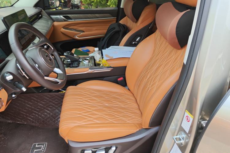 Used Tank 500 2022 3.0T Business Edition "Creation Realm" Design 5-Seater Left Front Seat