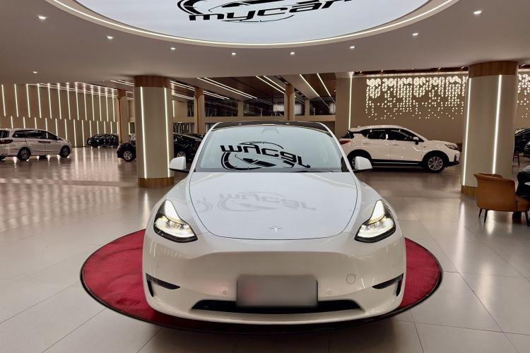 Used Tesla Model Y 2021 Standard Range Rear-Wheel Drive Version
