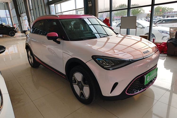 Used smart #1 2022 Pro+ Edition
