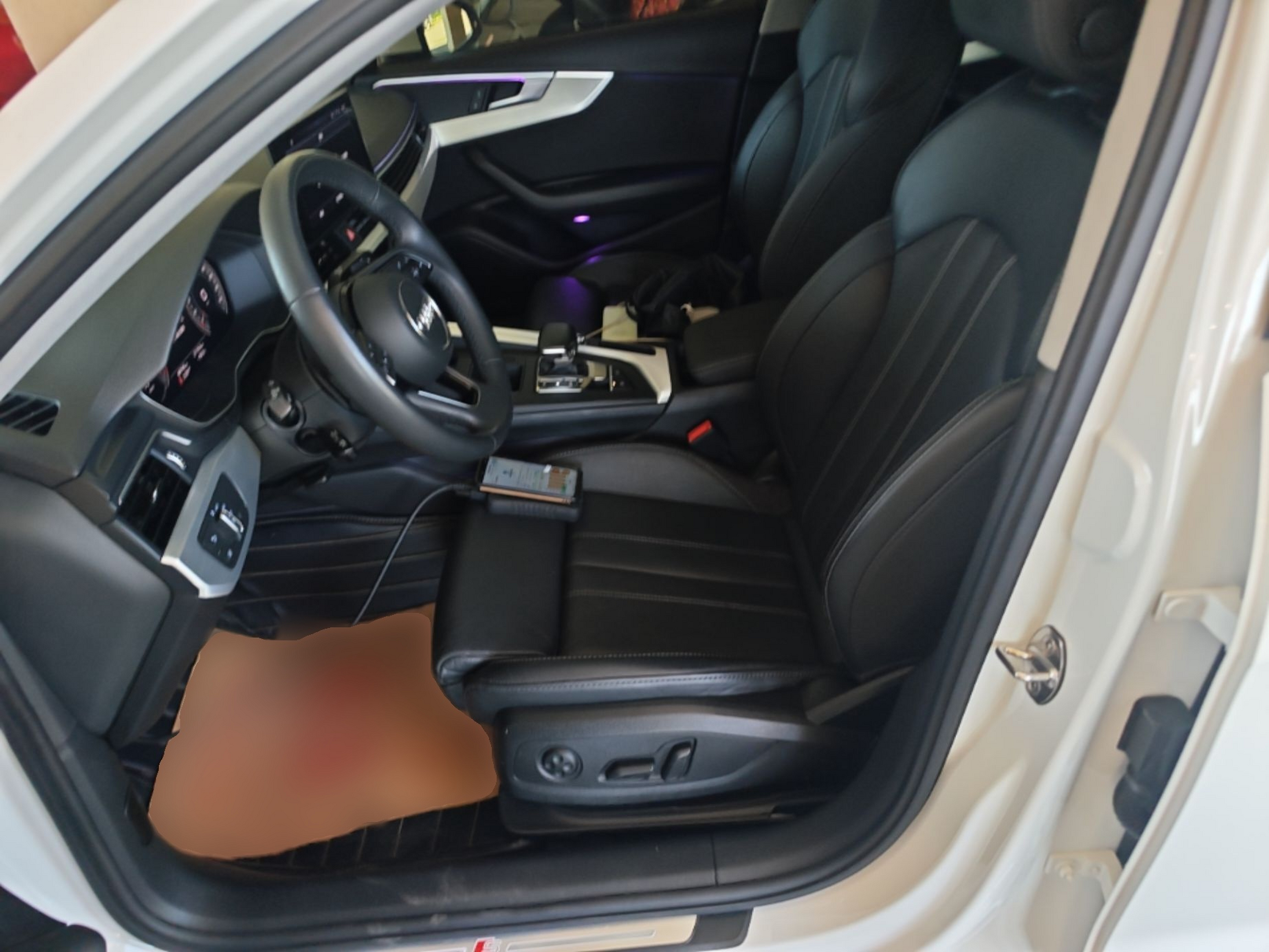 Interior delantero