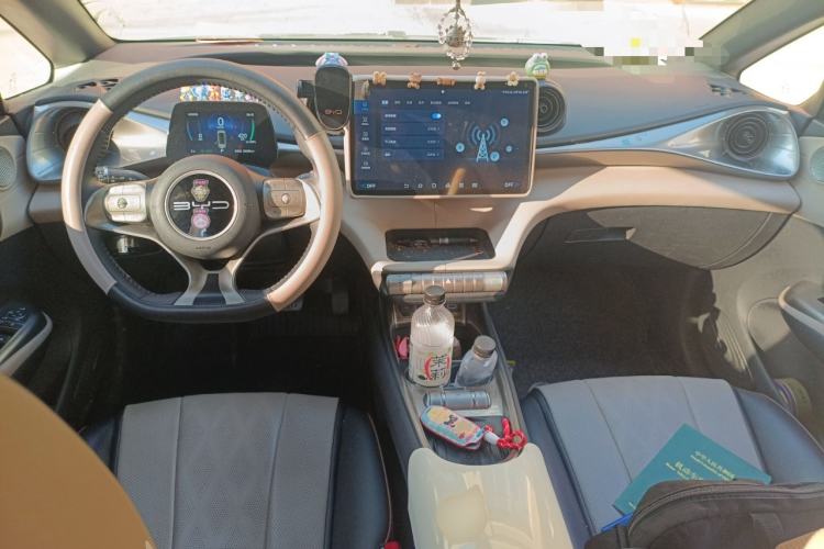 Used BYD Dolphin 2024 Honor Edition 420km Fashion Version Center Console