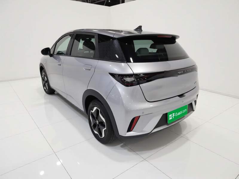 Used BYD Dolphin 2021 405 km Fashion Edition — 4