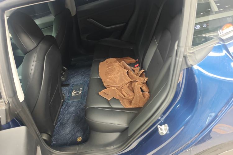 Used Tesla Model 3 2021 Standard Range Rear-Wheel Drive Upgraded Version 3D6 Left Rear Seat