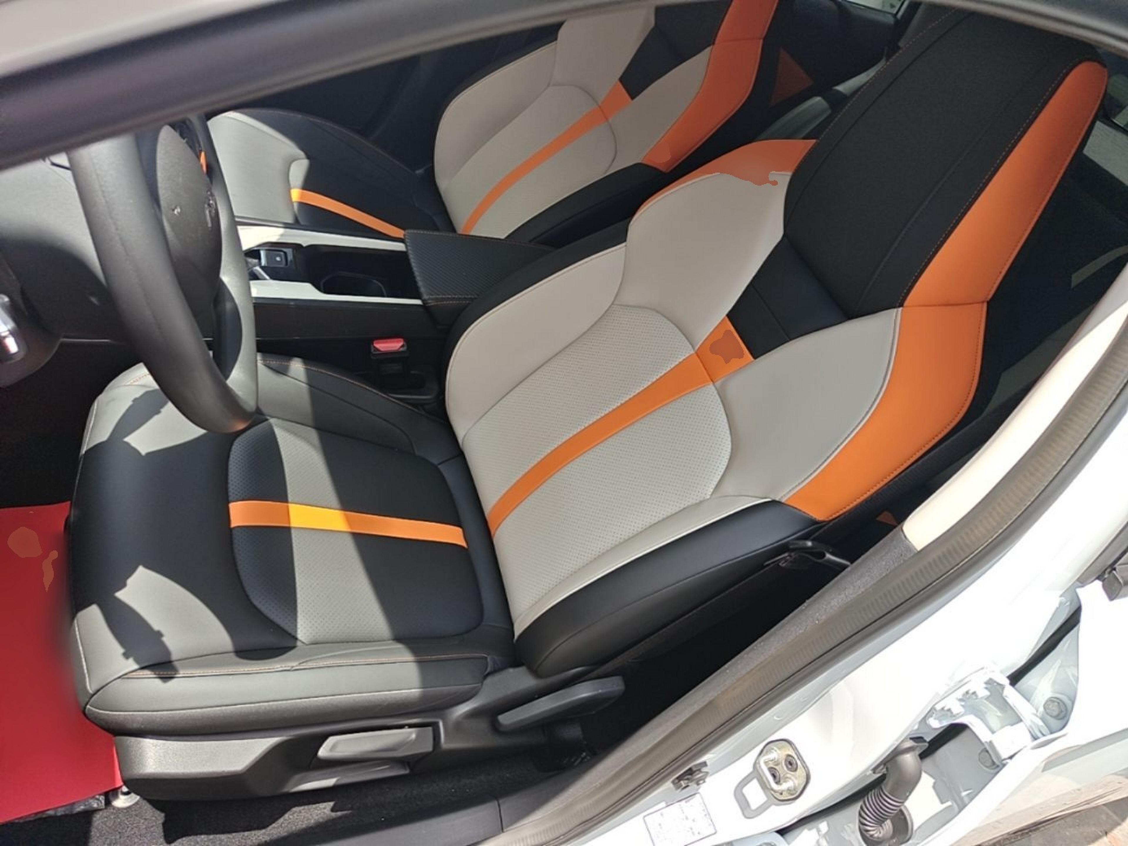 Interior delantero