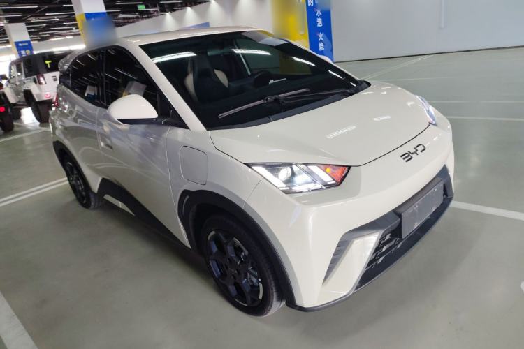 Used BYD Seagull 2024 Honor Edition 305km Freedom Version
