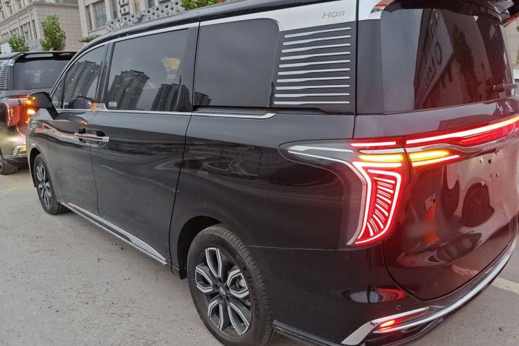 Used Hongqi HQ9 2023 2.0T Smart Connect Flagship Edition Left Side