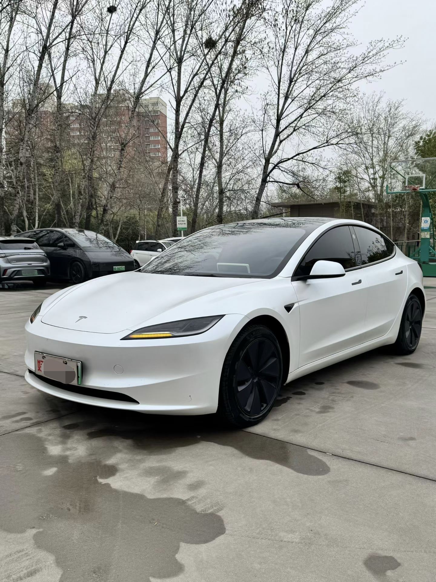 تحت مقدمة السيارة