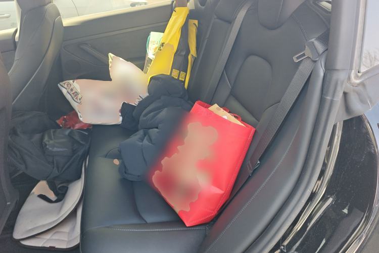 Used Tesla Model 3 2022 Rear-Wheel-Drive Version