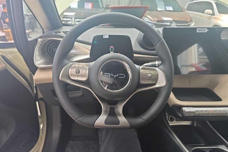 Used BYD Dolphin 2025 420km Free Edition