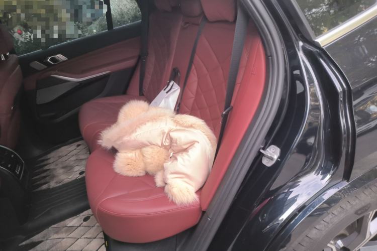 Used BMW X5 2022 xDrive 40Li M Sport Package