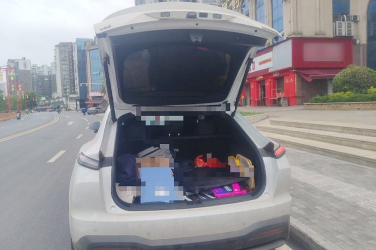 Used ONVO L60 2024 60 kWh Rear-Drive Version Trunk