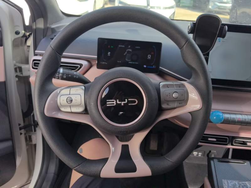 Used BYD Seagull 2025 305km Active Version — 10