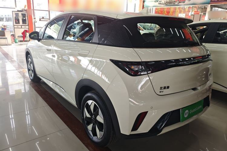 Used BYD Dolphin 2025 420km Free Edition