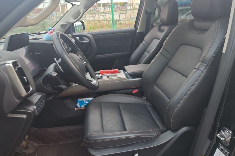 Used Haval DARGO 2024 2.0T DCT Chinese Rural Dog Edition
