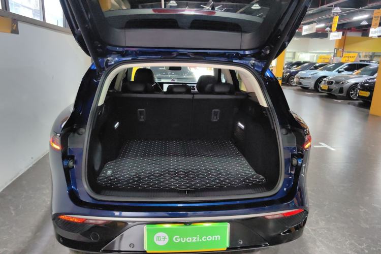 Used VOYAH FREE 2021 Four-Wheel Drive Standard Range-Extended Exclusive Luxury Package
