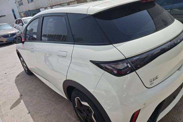 Used BYD Dolphin 2021 405 km Fashion Edition