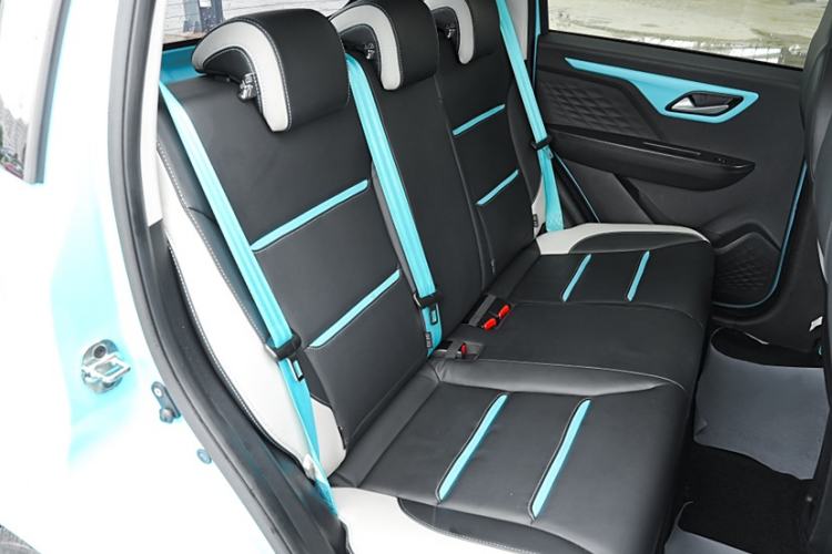 Used SOL E10X 2022 Flower Fairy Style Baby's Breath