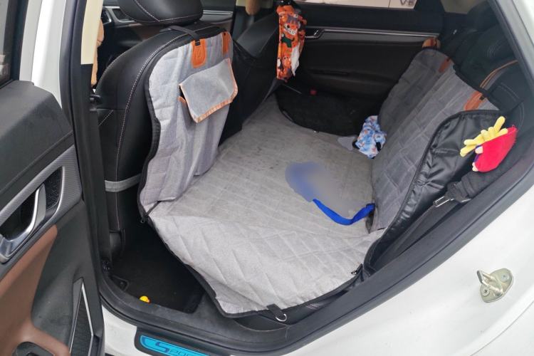 Used Geely Auto Emgrand GS 2018 Lingchao Edition 1.4T Automatic ZhenShang Smart Connectivity Model Left Rear Seat