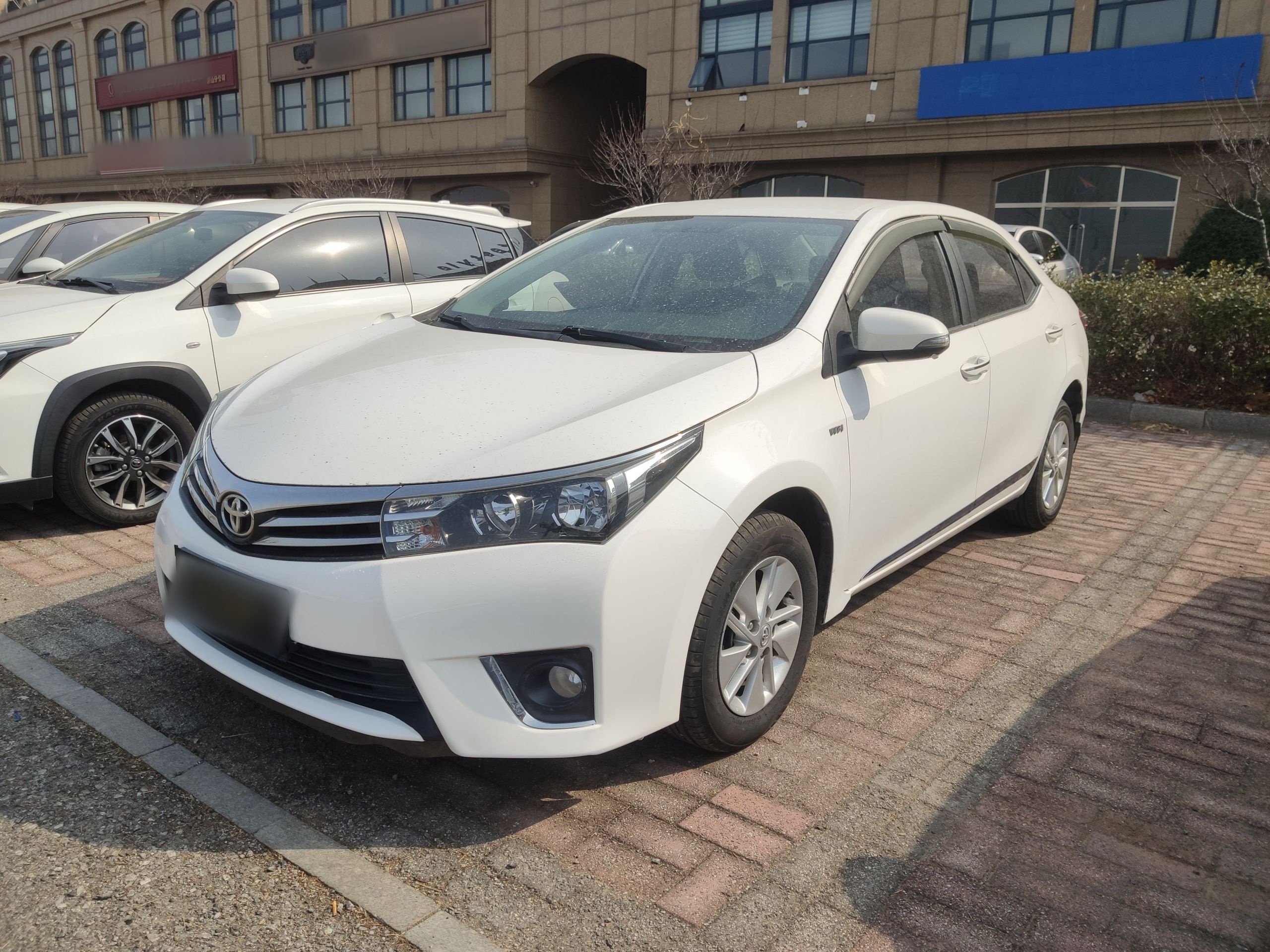 Parte inferior delantera