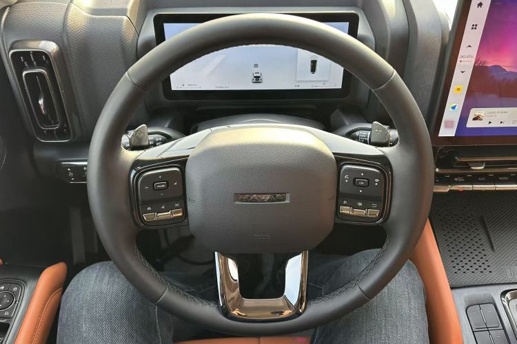 Used Tank 300 2025 2.4T Diesel Version
