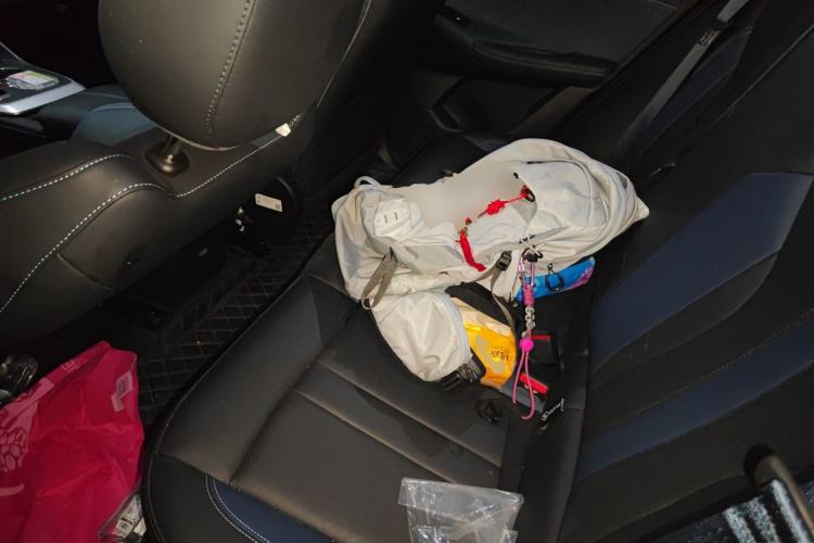 Used GAC Trumpchi GS3 2025 Shadow Speed 270T Enjoyment Edition Soaring to New Heights Left Rear Seat