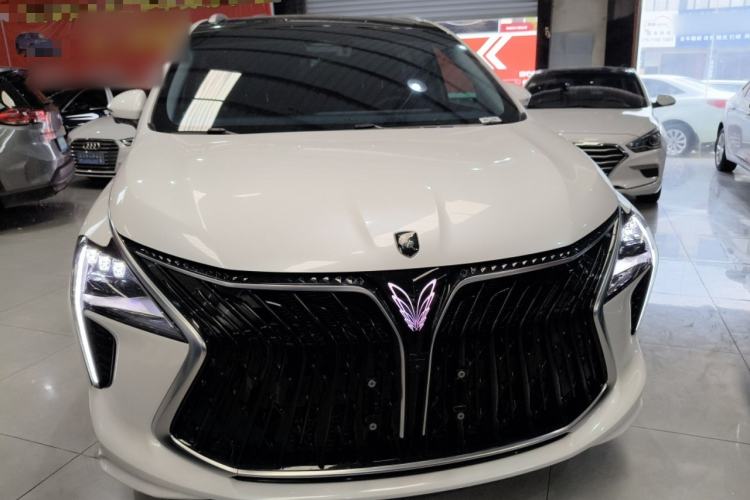 Used FORTHING Yacht 2024 1.5T DCT Guanhai Edition
