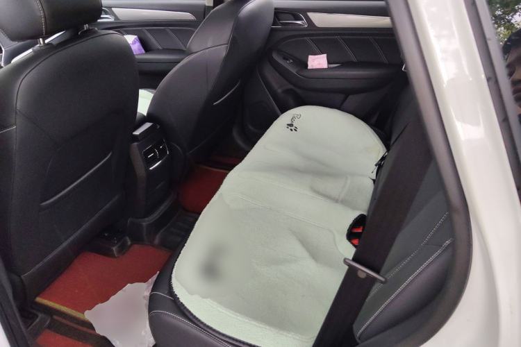 Used Roewe RX5 2020 20T Automatic 4G Connect Superior Flagship Edition Left Rear Seat