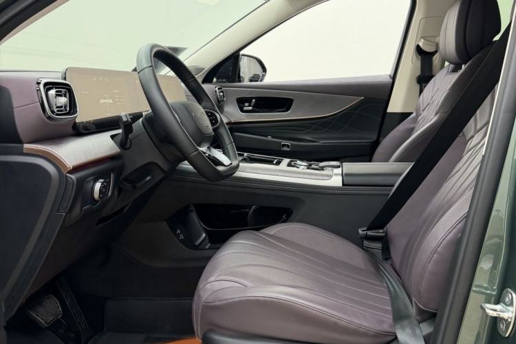 Used Chery Fengyun T10 2024 210 Luxury Edition