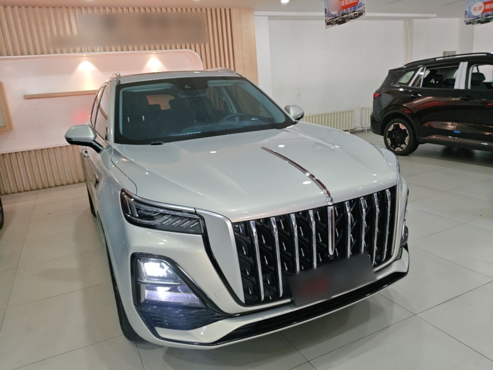 Hongqi HS5 2023 2.0T Qixiang Pro Edition — снимка 12