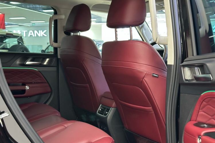 Used Tank 300 2025 2.4T Diesel Version
