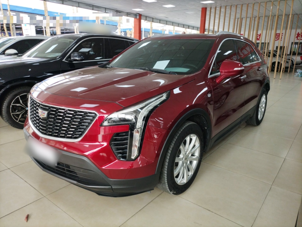 Parte inferior delantera