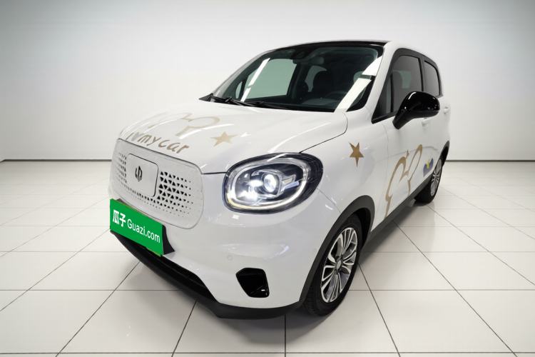 Used Leapmotor T03 2020 400 Luxury Edition