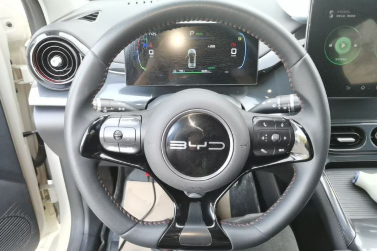 Used BYD e2 2023 Luxury Model