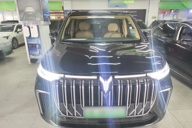 Used VOYAH Dream 2022 Low-Carbon Edition Home