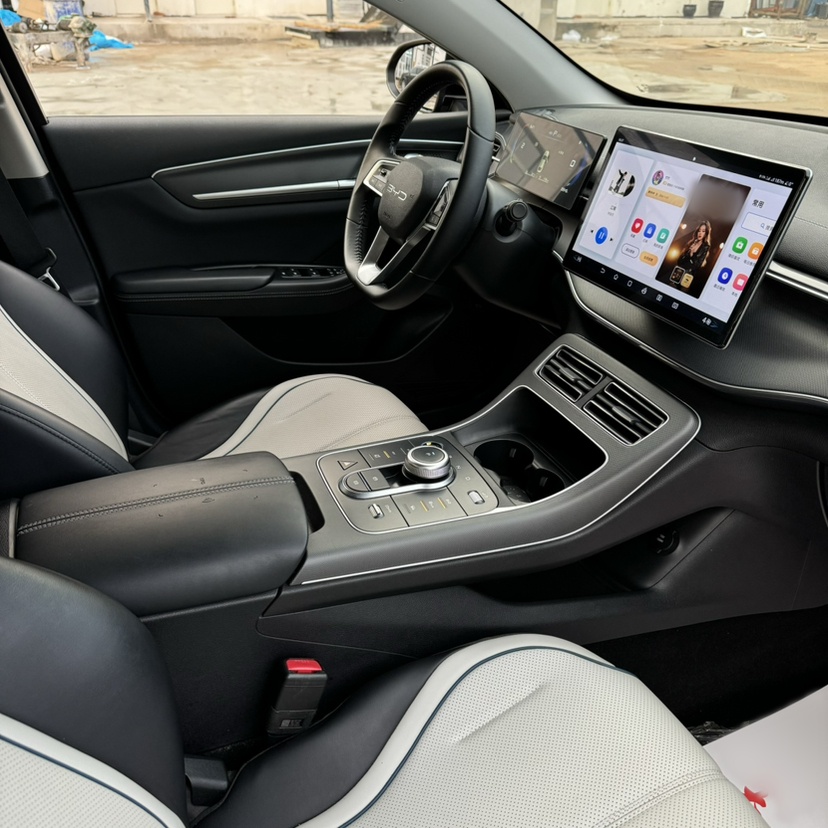 BYD Destroyer 05 2024 HONOR Edition DM-i 55KM Luxury Model — снимка 11
