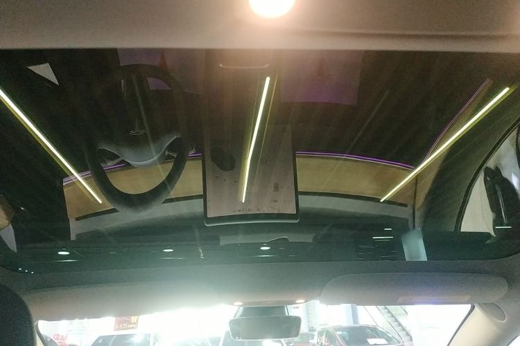 Used Tesla Model 3 2022 Rear-Wheel-Drive Version Headliner