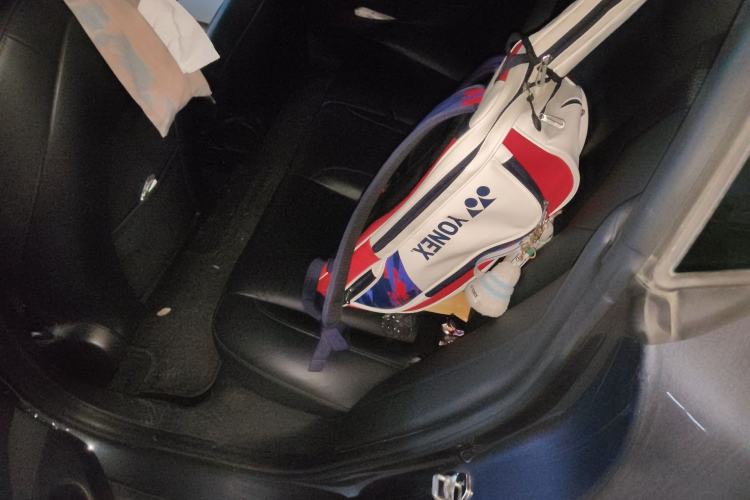 Used Tesla Model 3 2020 Revised Version Standard Range Rear-Wheel Drive – Upgraded Edition Left Rear Seat