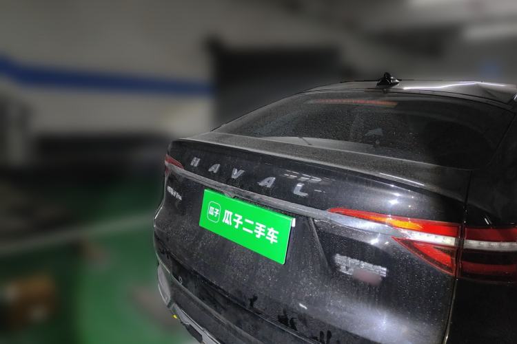 Used Haval F7x 2021 2.0T All-Wheel-Drive Intelligent Performance Version Rear