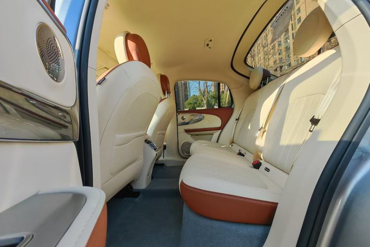 Used ORA Ballet Cat 2023 401 km Luxury Version
