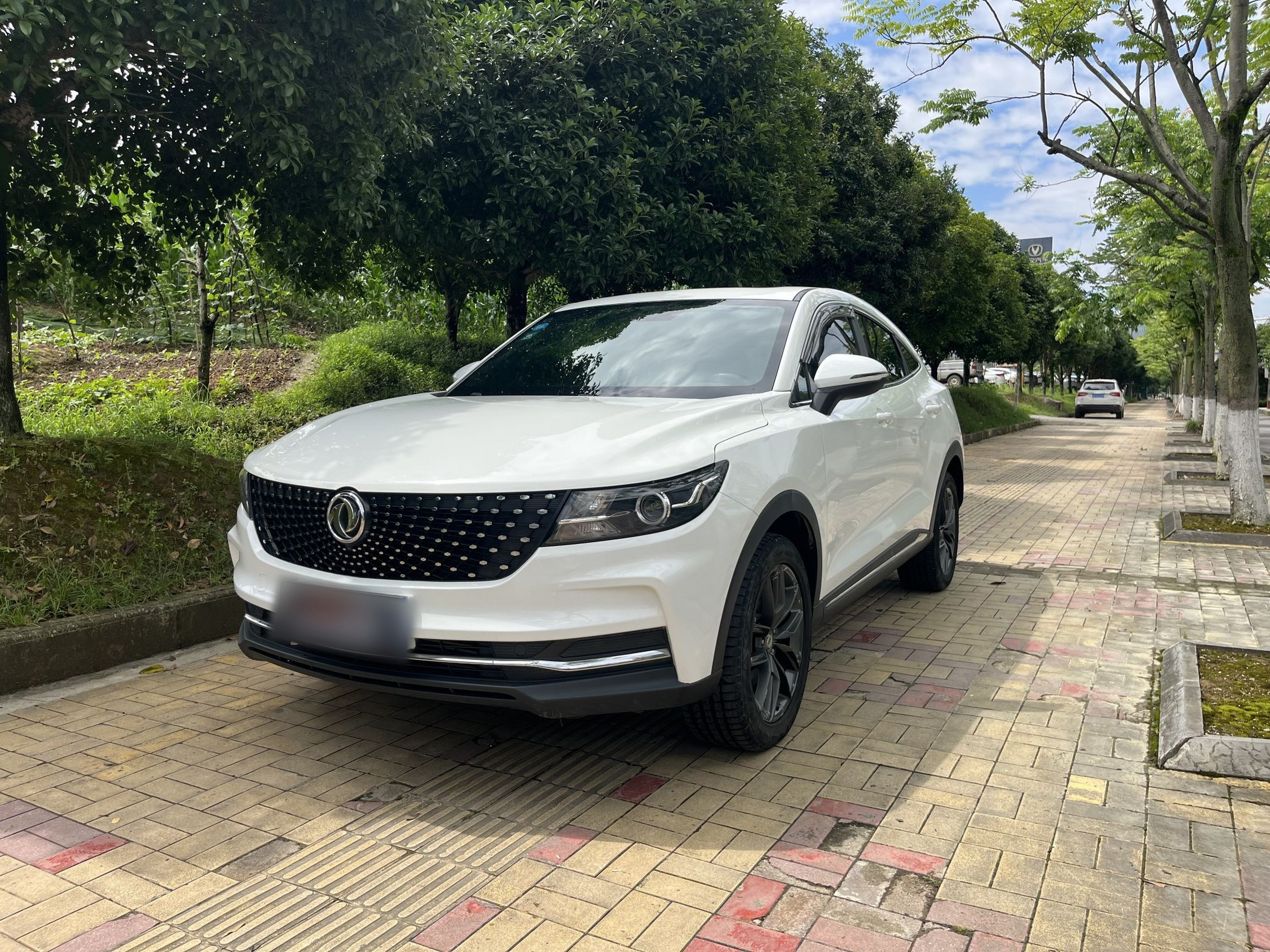 Under Front Bumper