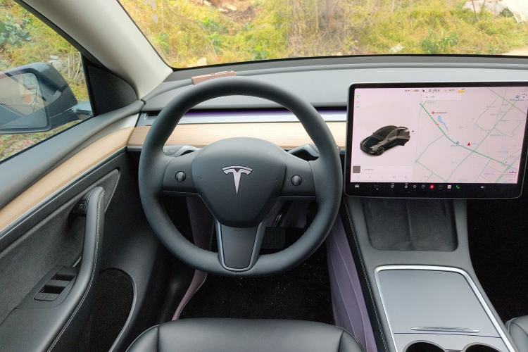 Used Tesla Model Y 2021 Standard Range Rear-Wheel Drive Version Steering Wheel