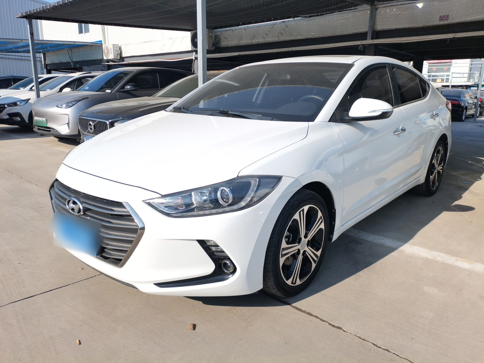 تحت مقدمة السيارة