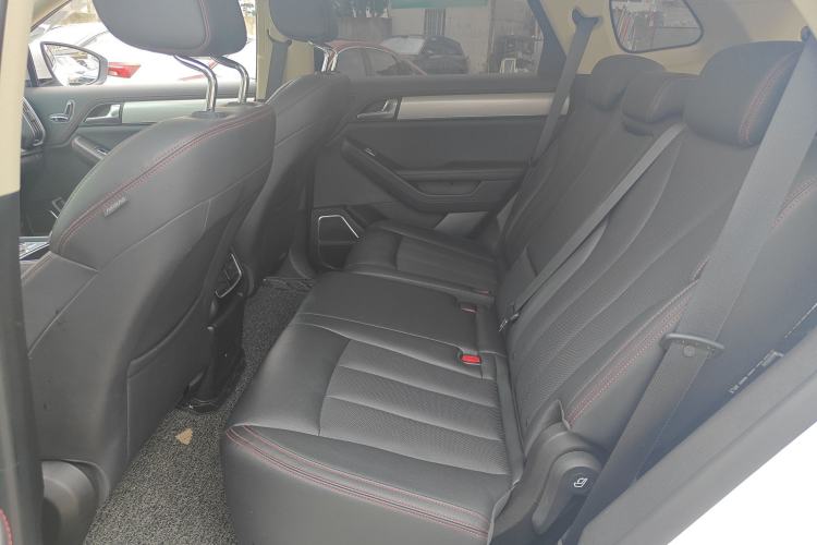 Used BYD Tang New Energy 2020 DM 2.0T Dual-Engine All-Wheel Drive Prestige 7-Seater China VI Standard Left Rear Seat