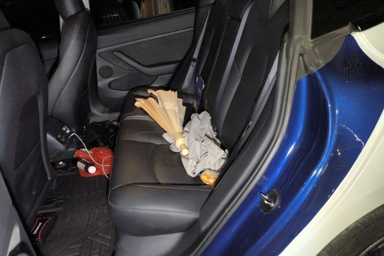 Used Tesla Model 3 2021 Revised Version Standard Range Rear-Wheel Drive Upgraded Edition 3D1
