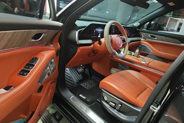 Used Wey Lanshan 2023 Four-Wheel Drive Ultra-Long Range Version Driver Seat